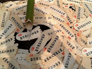2007080101.jpg