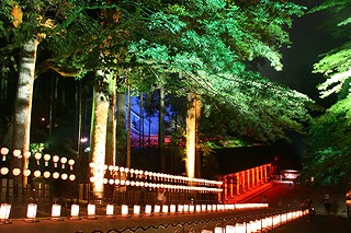 2007081501.jpg