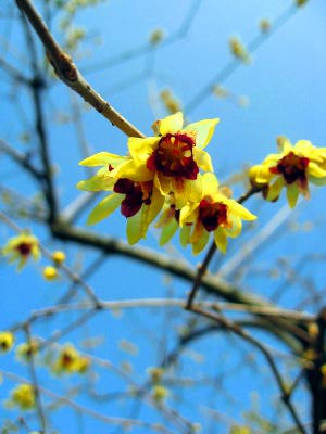 �r�u���~�p �r �`�����~�y�y