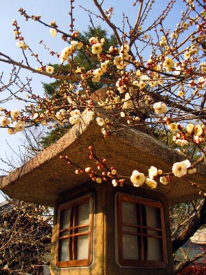 �r�u���~�p �K�y������ �`�����~�y��