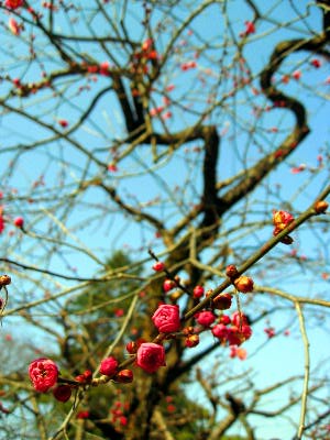 ���r�u���u�~�y�u ���|�y�r�� �`�����~�y��