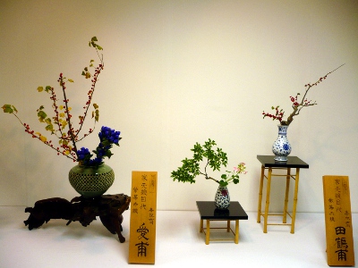 autumn flowers exhibition in Kyoto