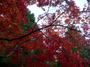 �}���}�y�t�x�y