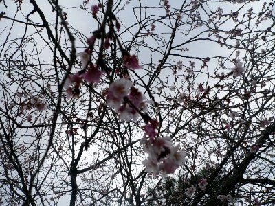 �������~���{�p�� ���p�{�����p