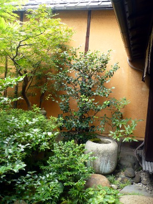 �`�����~���{�y�z ���p�t